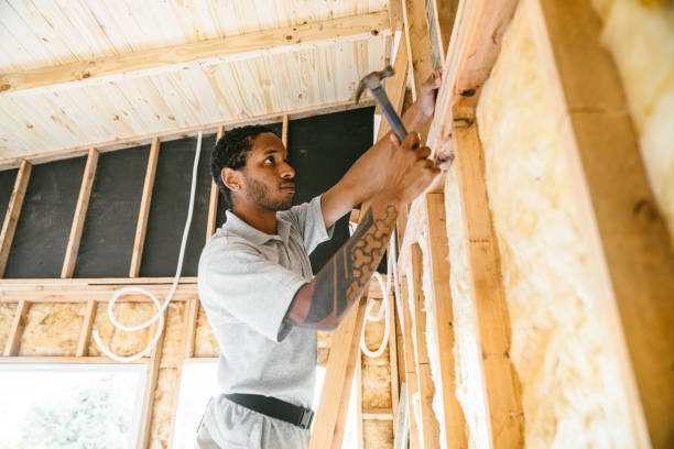 Best Insulation Removal Services  in Conley, GA